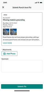 Submit Punch Item - View Less (first time) - final used.png