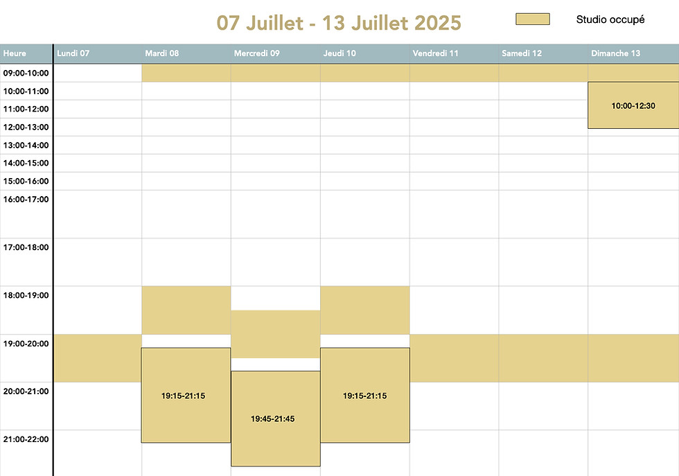 weekly schedule studio renting.1.jpeg