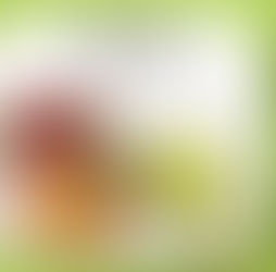 COMMENT  MAIGRIR ? Quelle est la vision naturopathique ?