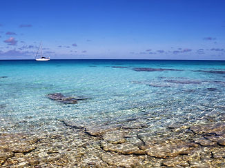 Panacea_fakarava.jpg