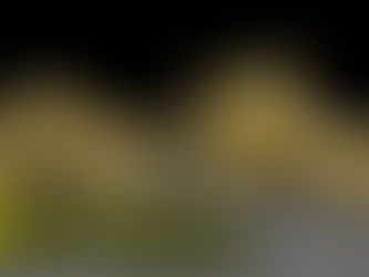 Die Mutter aller Stiefel - Der MERRELL MOAB 3 Tactical