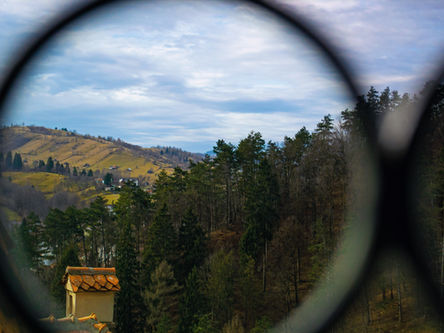 Despre încredere, trădare, respect, traumă și alte "mărunțișuri"