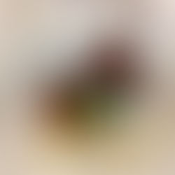 La cucina Piemontese - dolci