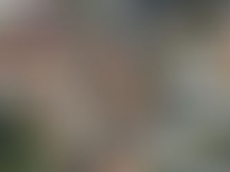 Radnice souhlasí s výstavbou ve Staré Hostivaři