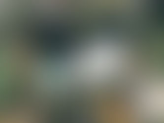 Náš facebook je jednička