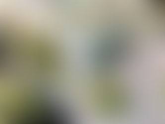 Občané z Groše dali koalici jasně najevo, že jsou proti prodeji pozemků developerovi