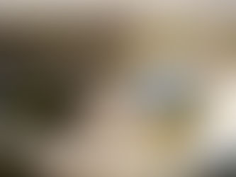 Nekoncepční paskvily za vaše miliony!