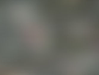 Turné s Kobrou pokračuje