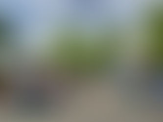 Co s vydlážděným parkem u hasičárny?