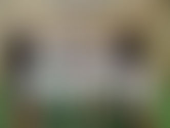 Weekend du 17 et 18 novembre 2018