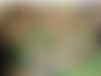 Demi-finales coupe Drôme-Ardèche