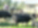 30DEBCD1-E474-4D81-8BA5-FE2BE2C5EFF9.jpe
