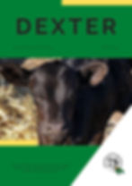 Dexter Bulletin 2023