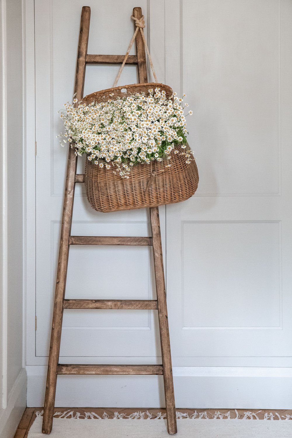 The Larder Ladder