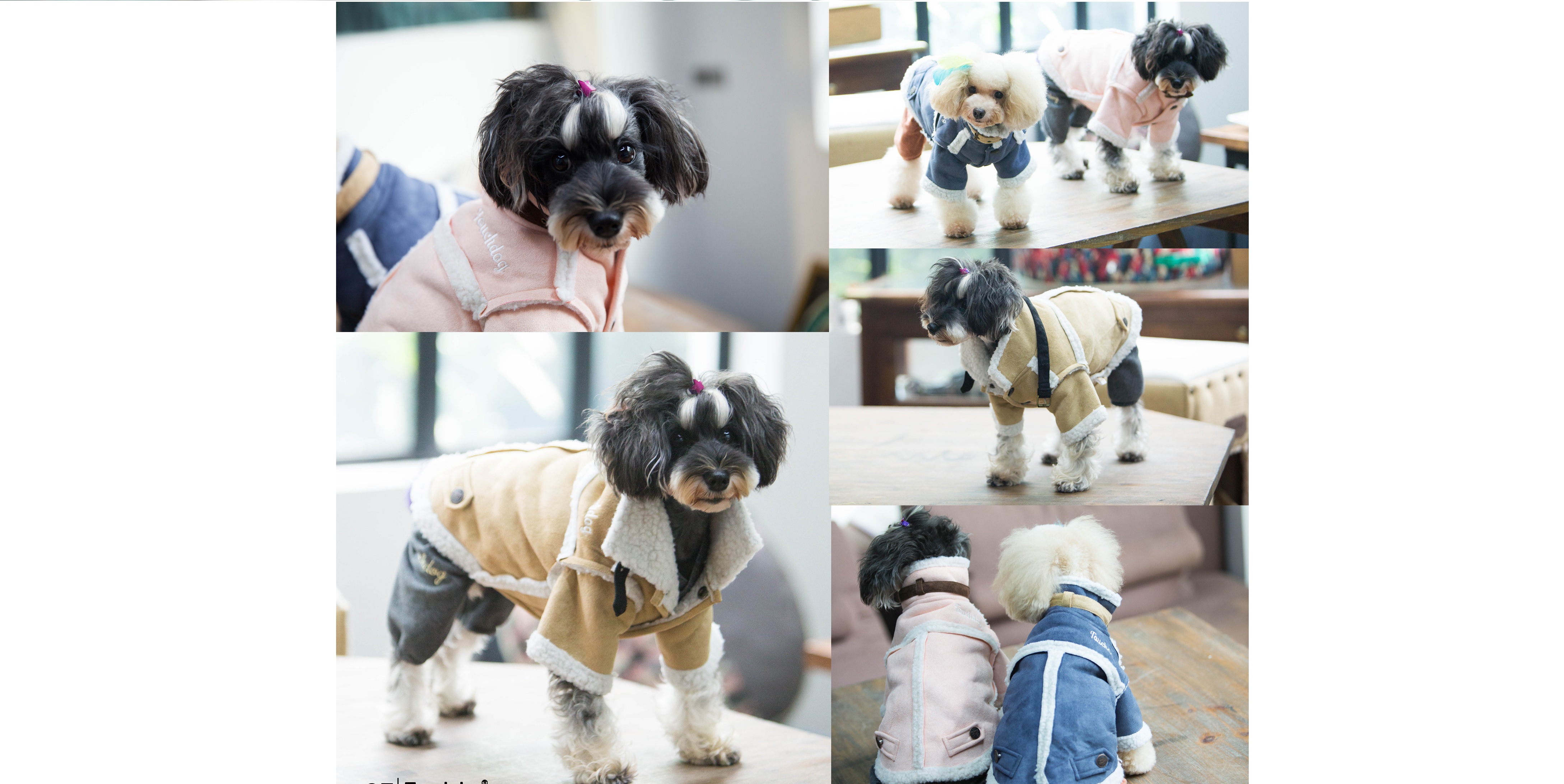 dog grooming north york