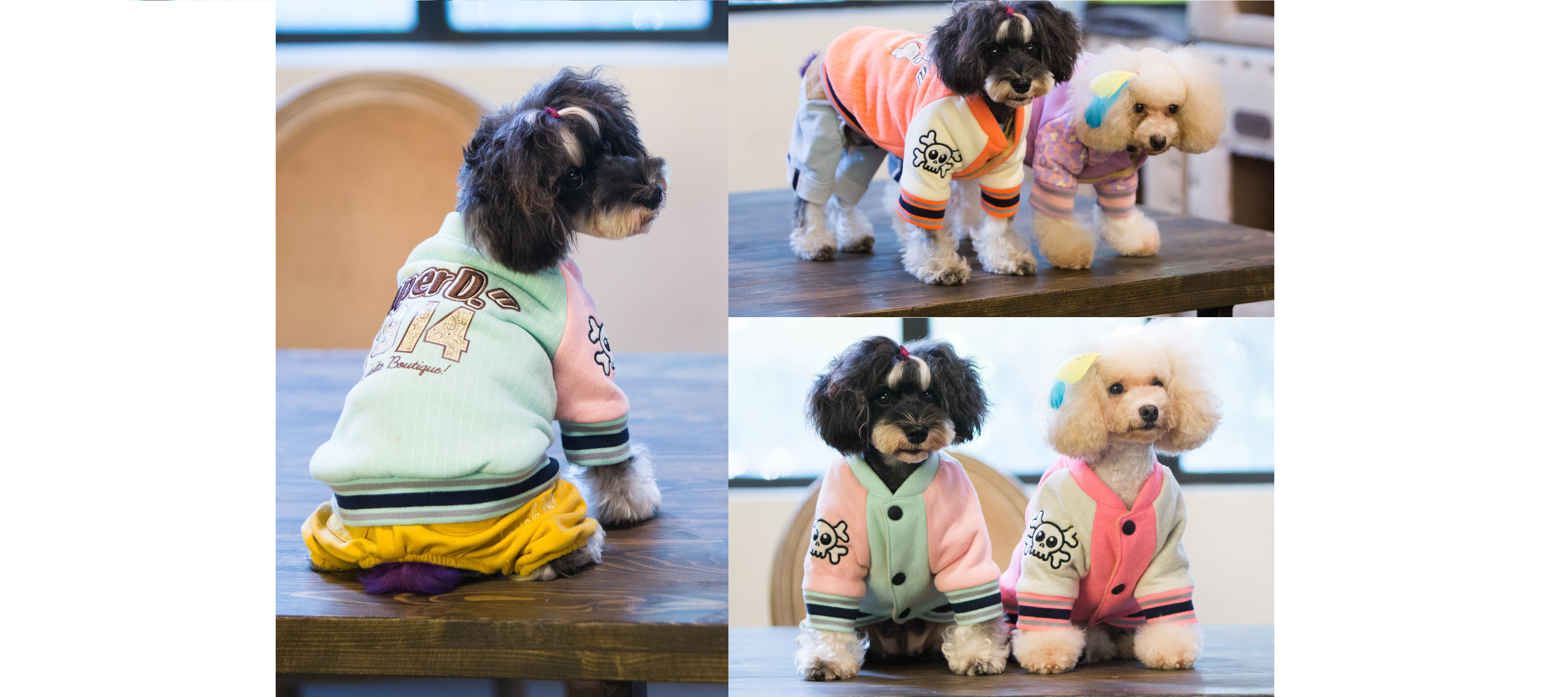 dog grooming north york