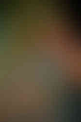 Dogs In a Pile at Levitate Music Festival 2025 - Day one