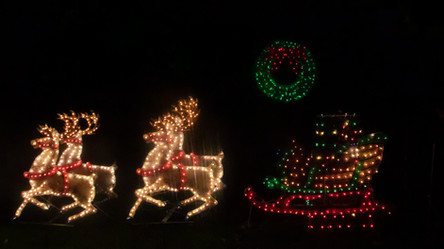 reindeer decoration photo