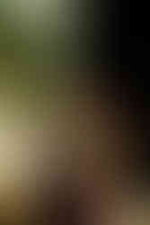 The Revivalists at Levitate Music Festival 2025 - Day one