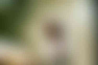 Dogs In a Pile at Levitate Music Festival 2025 - Day one