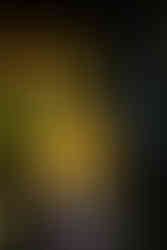 Ripe at Levitate Music Festival 2025 - Day one