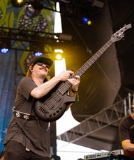 the elovaters - Levitate Music Festival 2024