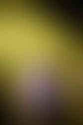 Modern Color opening for Thrice on Their Fall Tour in Toronto at Danforth Music Hall