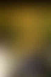 Ripe at Levitate Music Festival 2025 - Day one