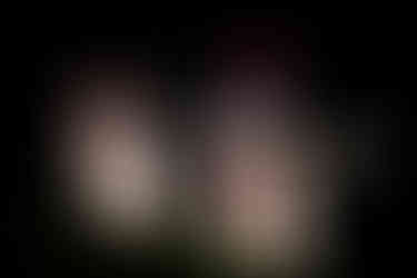 penguin decoration photo