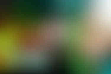 Rainbow Kitten Surprise - Bones Tour - Toronto, ON Concert Photo Gallery - March 3, 2026