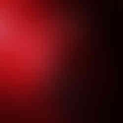 Blossoms - Milano, Italy - February 3, 2026 Concert Photo Gallery 