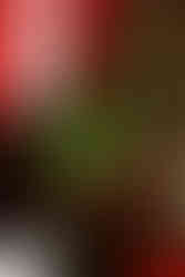 Levitate Music Festival 2025 - Day two