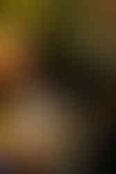 Ripe at Levitate Music Festival 2025 - Day one