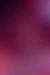 Skillet - Prior Lake, MN -May 3rd, 2024