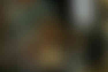 Levitate Music Festival 2025 - Day two