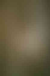 The Elovaters at Levitate Music Festival 2025 - Day one