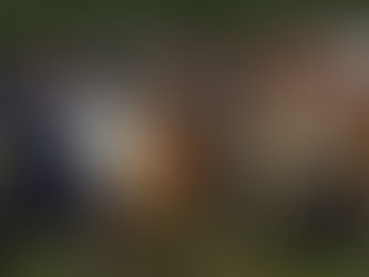 Yddir vikingmarked 2022