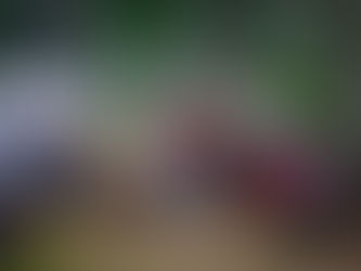 Sarpsborg internasjonale vikingfestival 2023