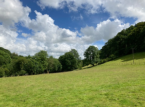 View down the valley
