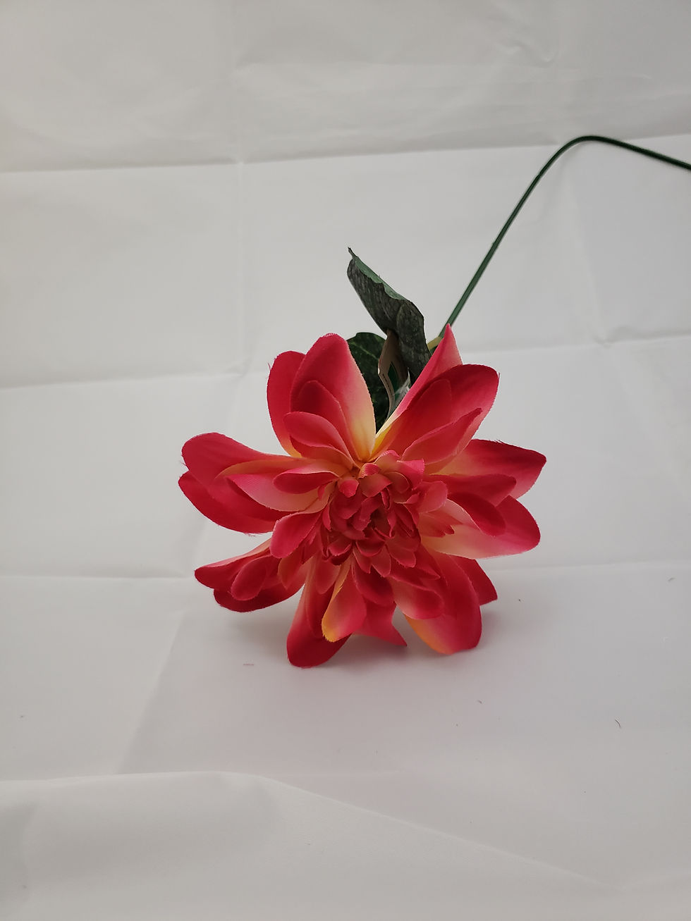 Miniatura: RS2268 VARA DE DALIA