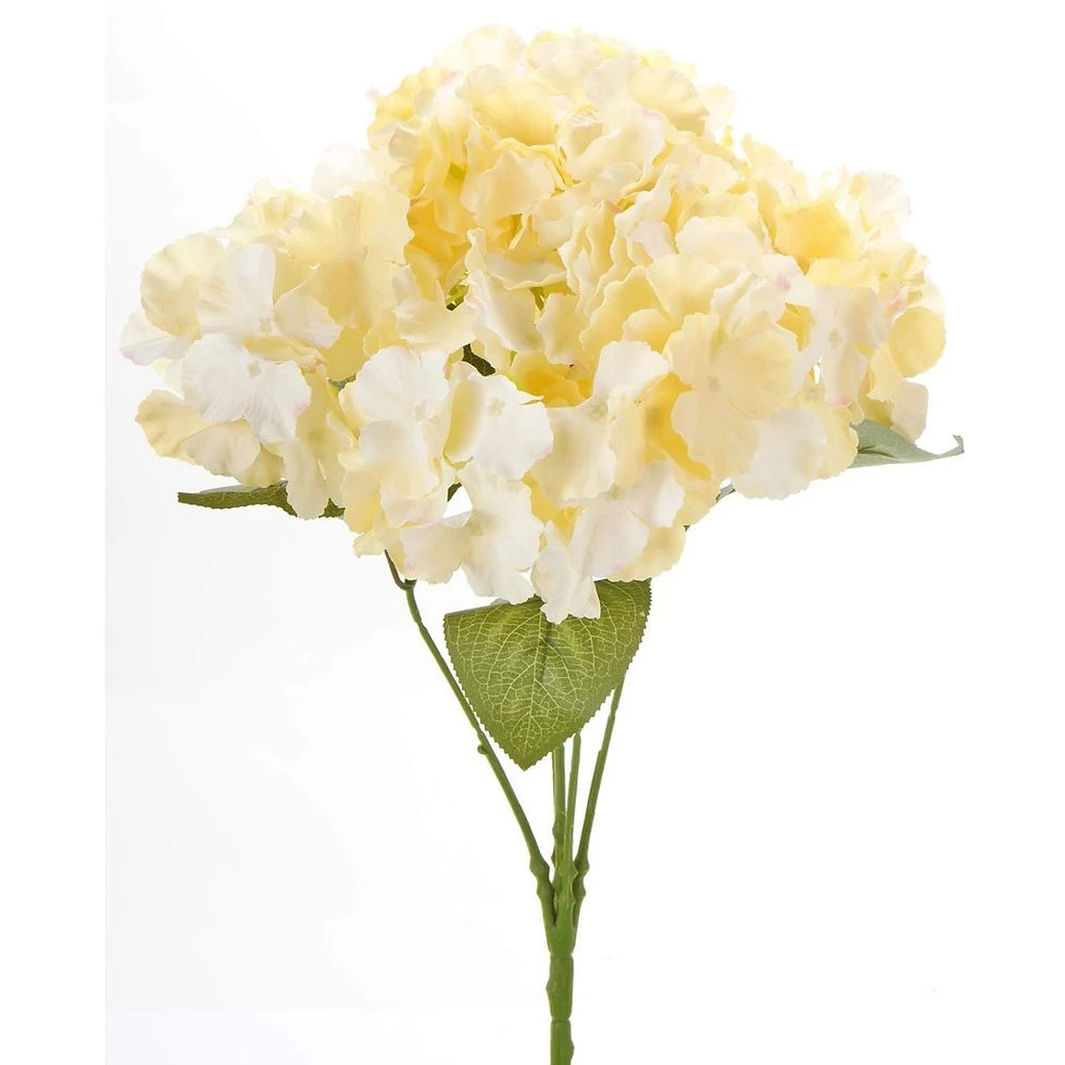 Miniatura: Ramo de Hortensia x 5