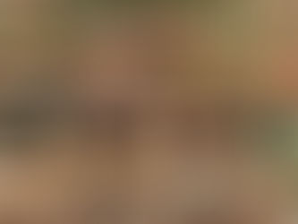 "La mirada forense. Tres crímenes arquitectónicos"