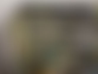 Oven Steamed Mussels