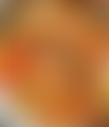 Pan-Seared Fish in Tomato Basil Sauce