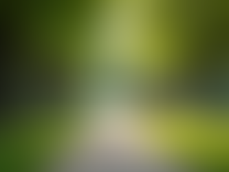 Discover the Unique Features of Anandam City: Your Ideal Home Awaits