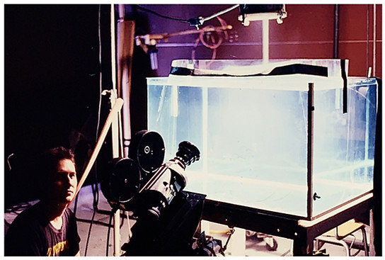 Phil aquarium