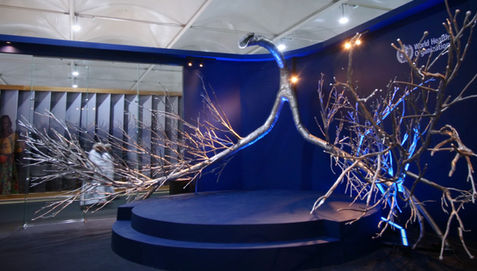 COP27 - HEALTH PAVILION
