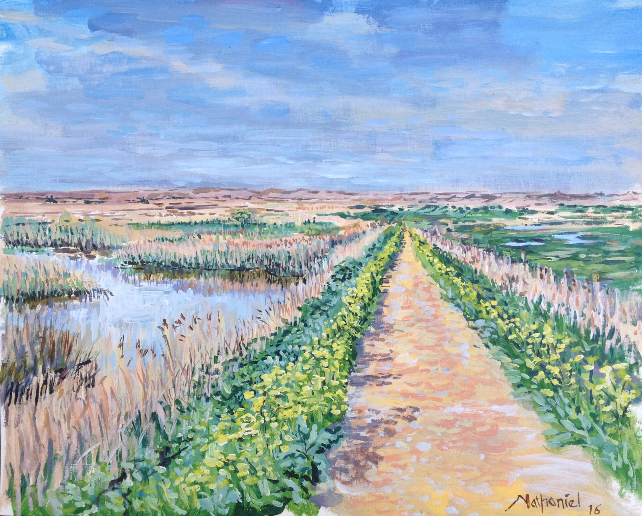 Attenborough's Walk