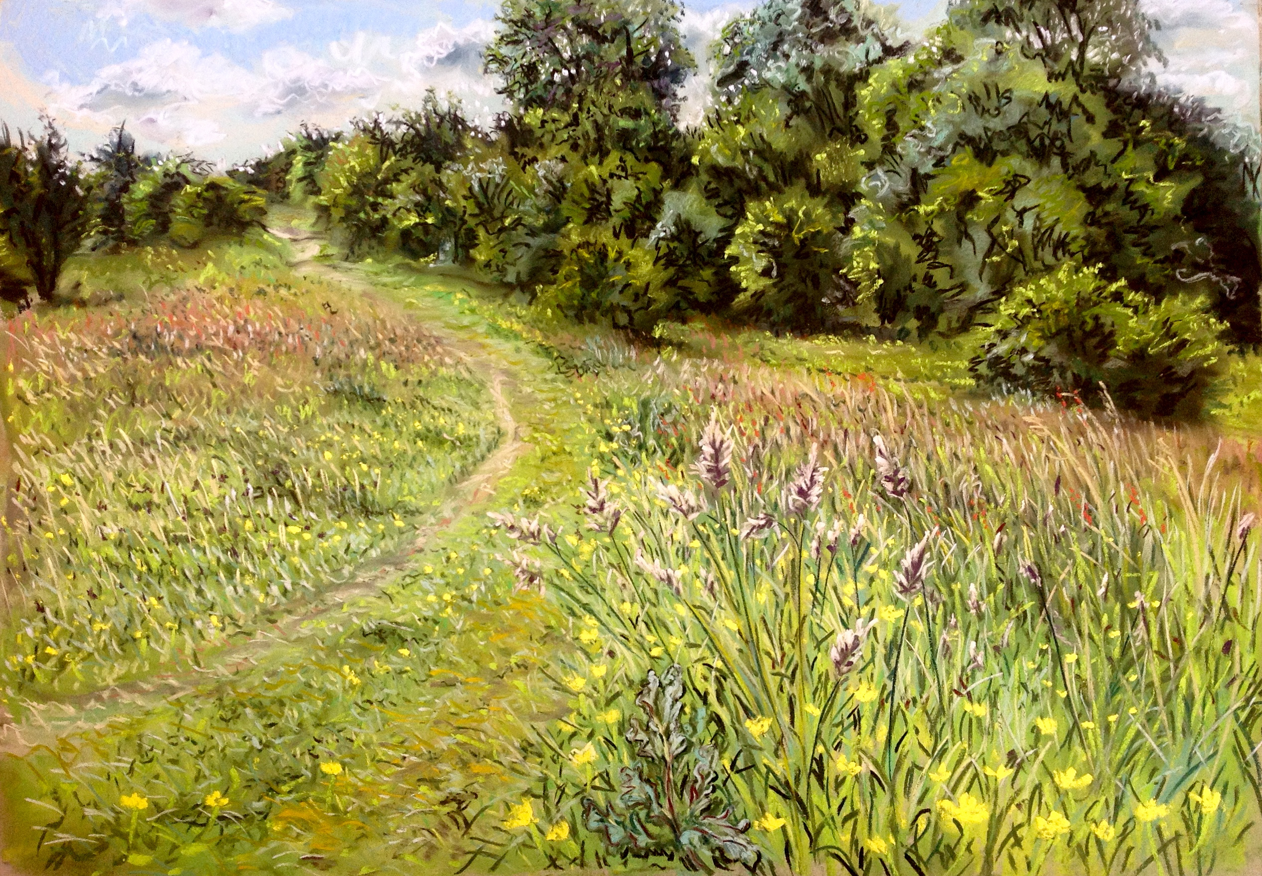 Path with Buttercups. Devil's Dyke