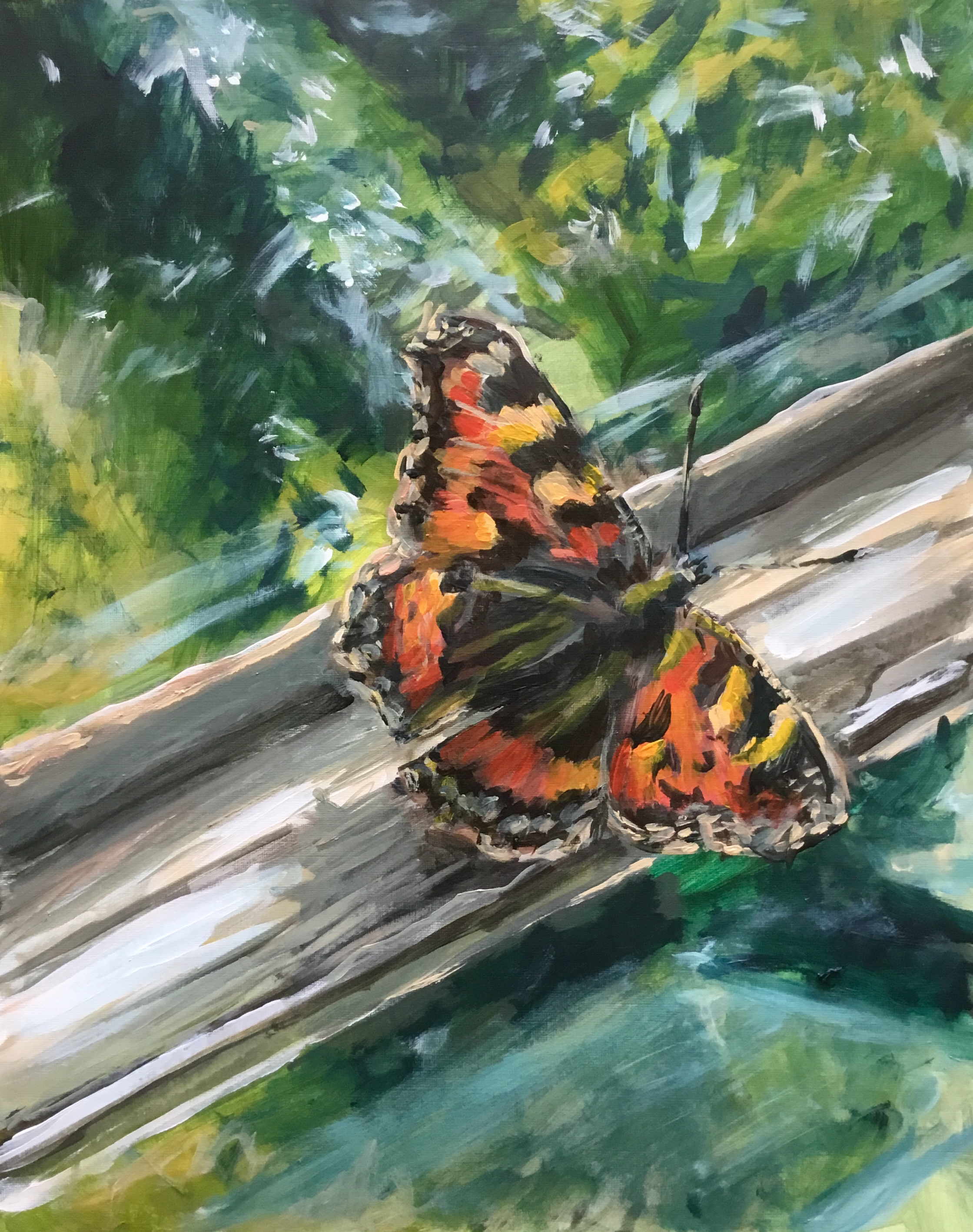 Tortoiseshell